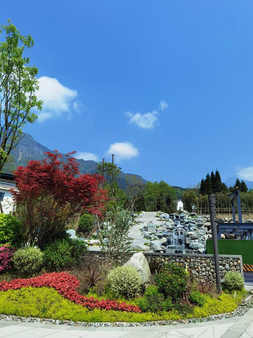 WechatIMG80 拷貝.jpg